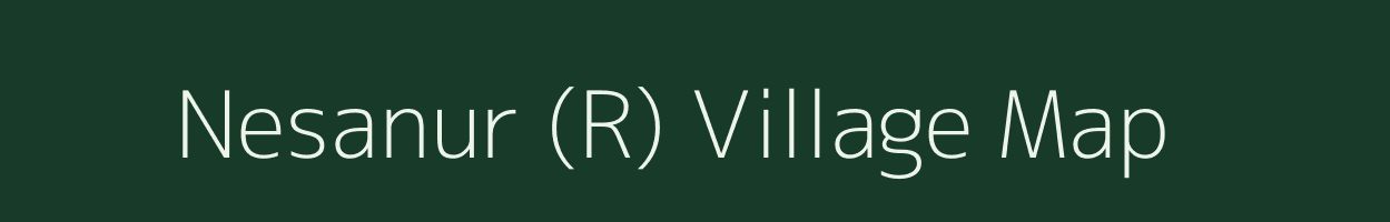 Nesanur (R) village map in Andhra Pradesh