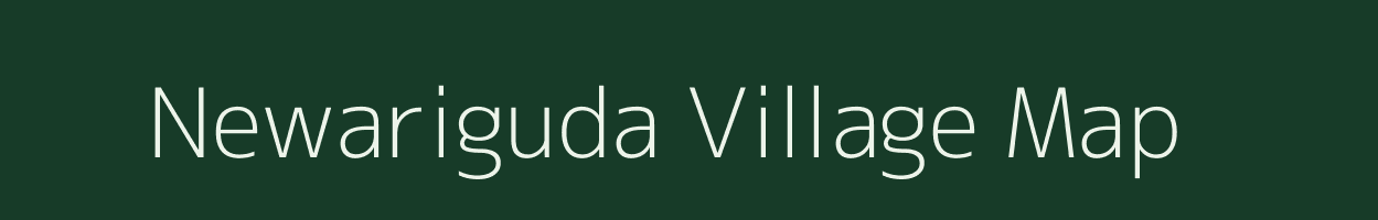 Newariguda village map in Chhattisgarh