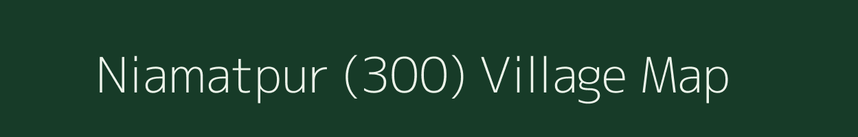 Niamatpur (300) village map in Punjab