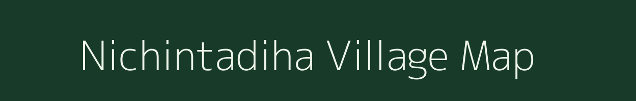 Nichintadiha village map in Odisha