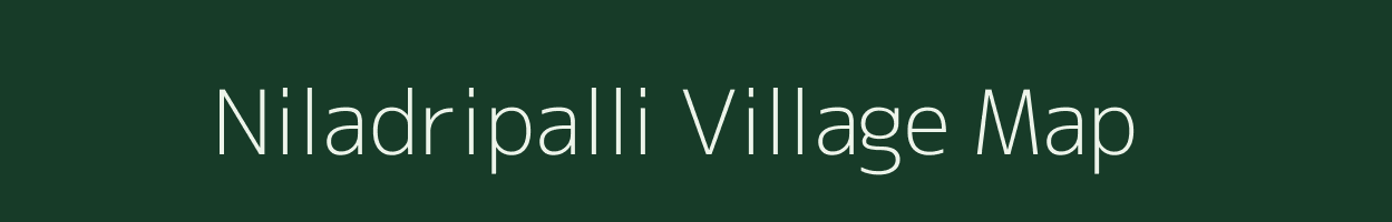 Niladripalli village map in Odisha