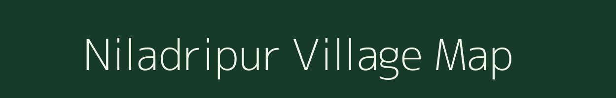 Niladripur village map in Odisha