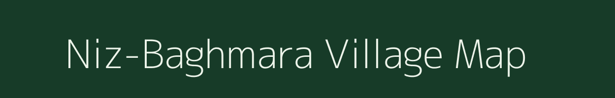 Niz-Baghmara village map in Assam