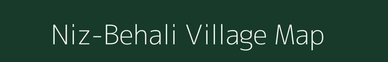 Niz-Behali village map in Assam