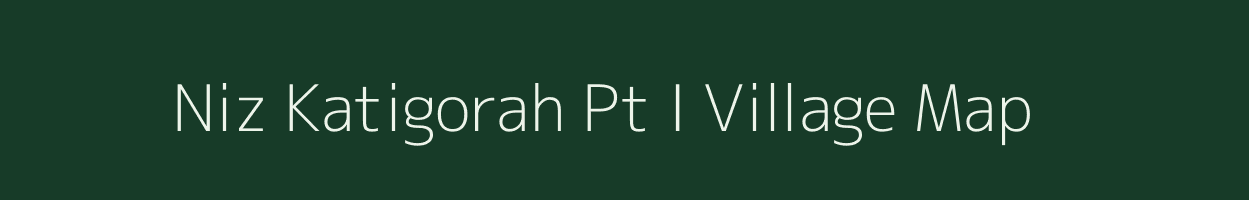 Niz Katigorah Pt I village map in Assam