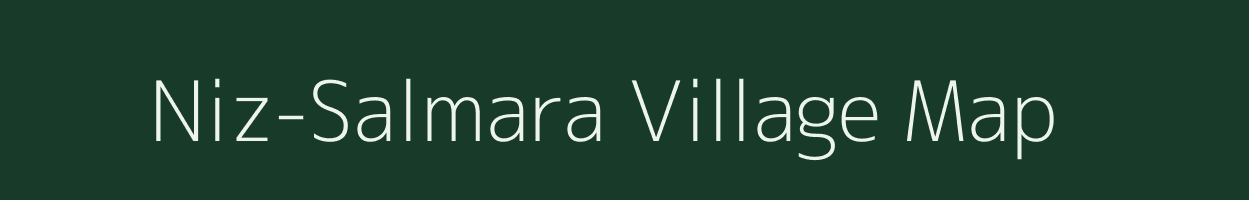 Niz-Salmara village map in Assam