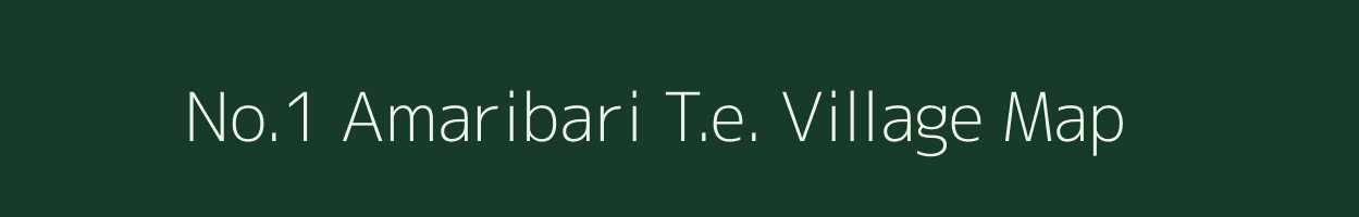 No.1 Amaribari T.e. village map in Assam