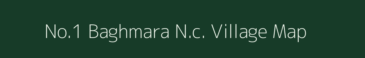 No.1 Baghmara N.c. village map in Assam