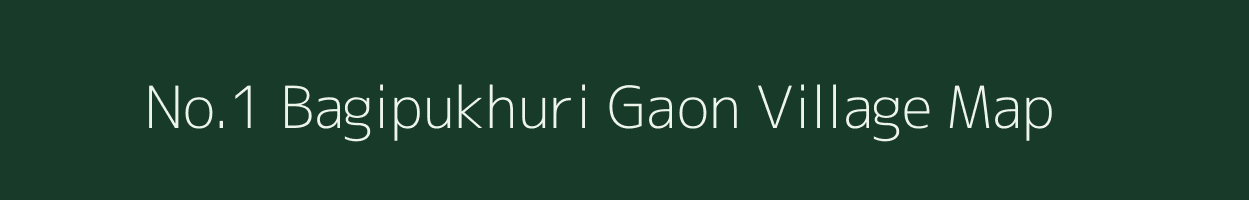 No.1 Bagipukhuri Gaon village map in Assam