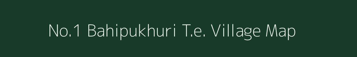 No.1 Bahipukhuri T.e. village map in Assam