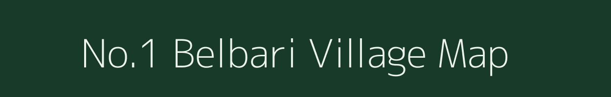 No.1 Belbari village map in Assam