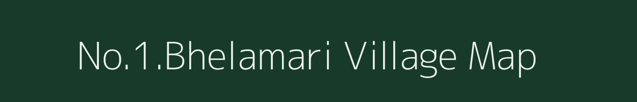 No.1.Bhelamari village map in Assam