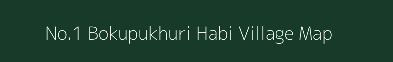 No.1 Bokupukhuri Habi village map in Assam