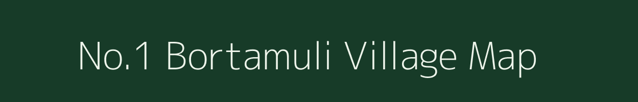 No.1 Bortamuli village map in Assam