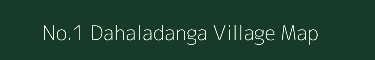 No.1 Dahaladanga village map in Assam