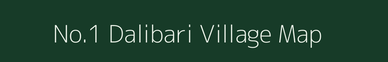 No.1 Dalibari village map in Assam
