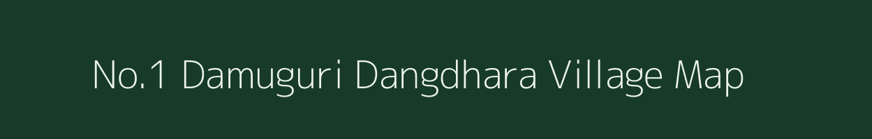 No.1 Damuguri Dangdhara village map in Assam