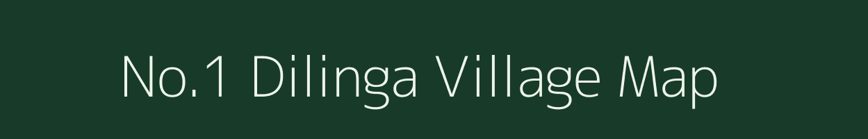 No.1 Dilinga village map in Assam