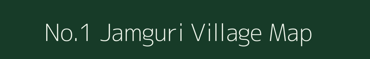 No.1 Jamguri village map in Assam