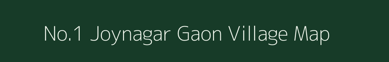 No.1 Joynagar Gaon village map in Assam