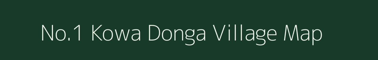No.1 Kowa Donga village map in Assam