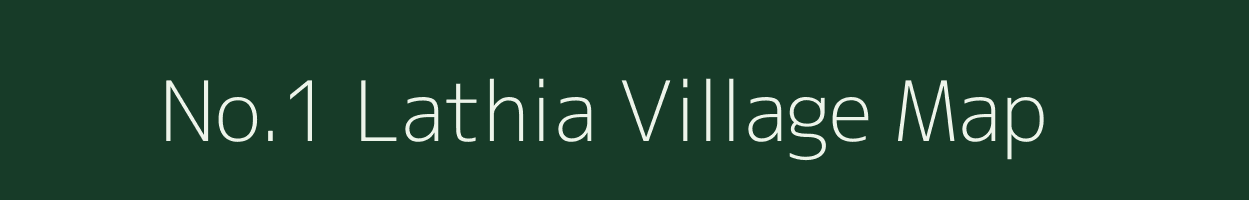 No.1 Lathia village map in Assam