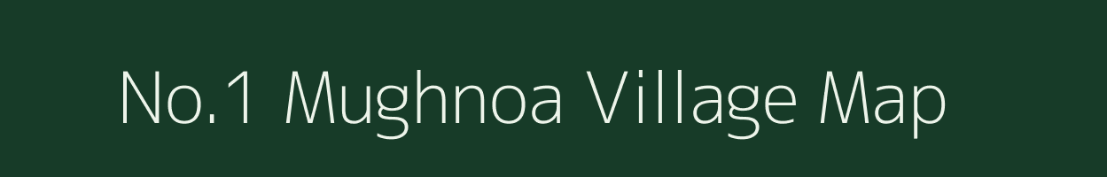 No.1 Mughnoa village map in Assam