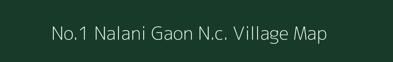 No.1 Nalani Gaon N.c. village map in Assam