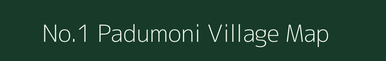 No.1 Padumoni village map in Assam