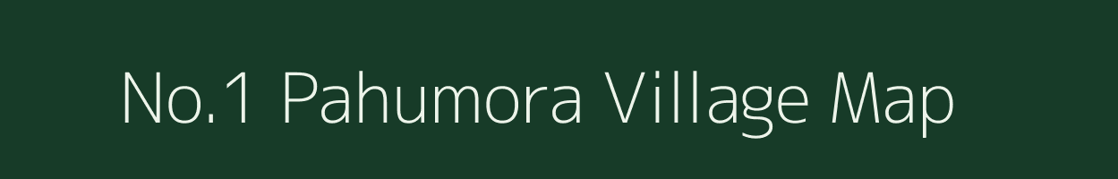 No.1 Pahumora village map in Assam