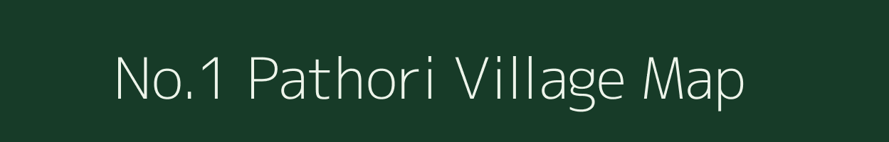 No.1 Pathori village map in Assam