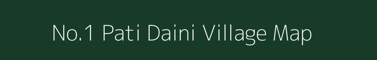 No.1 Pati Daini village map in Assam