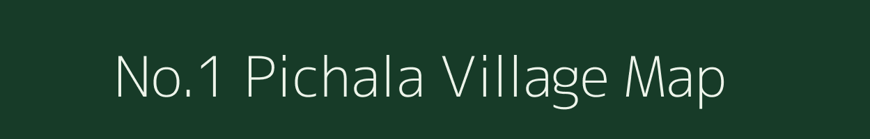 No.1 Pichala village map in Assam