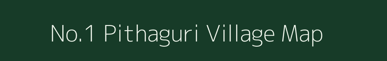 No.1 Pithaguri village map in Assam