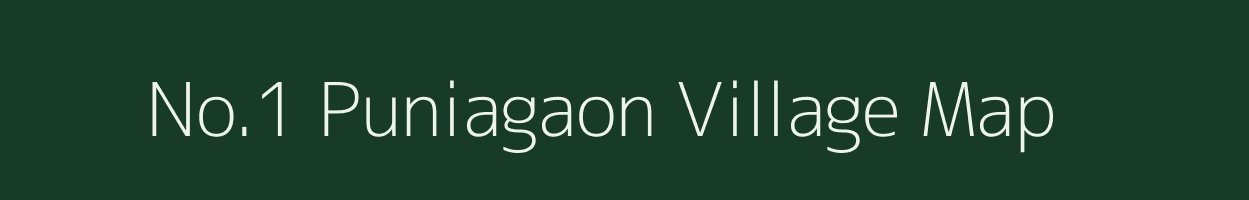 No.1 Puniagaon village map in Assam