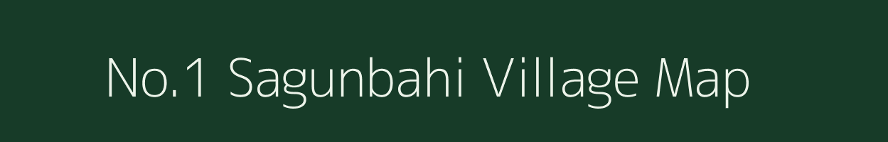 No.1 Sagunbahi village map in Assam