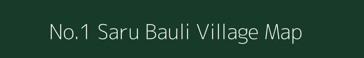 No.1 Saru Bauli village map in Assam