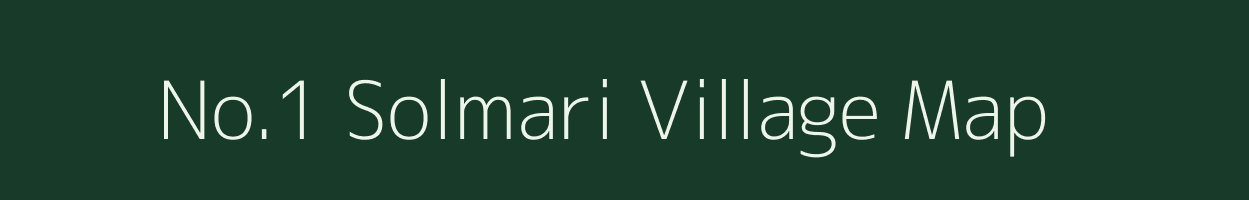 No.1 Solmari village map in Assam