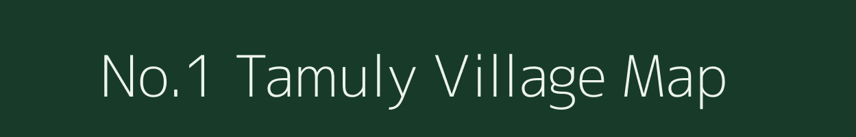 No.1 Tamuly village map in Assam