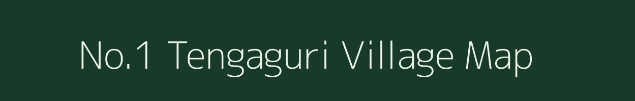 No.1 Tengaguri village map in Assam