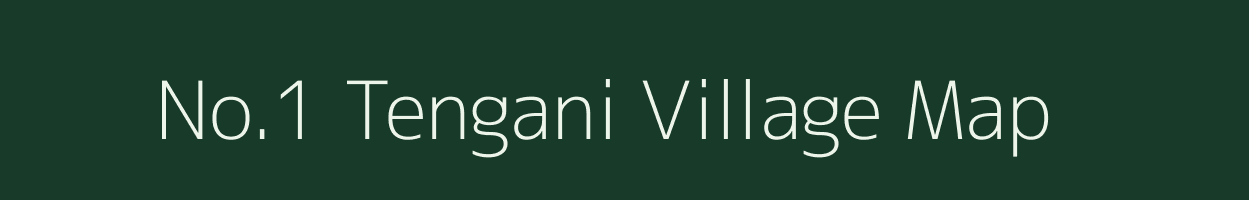 No.1 Tengani village map in Assam