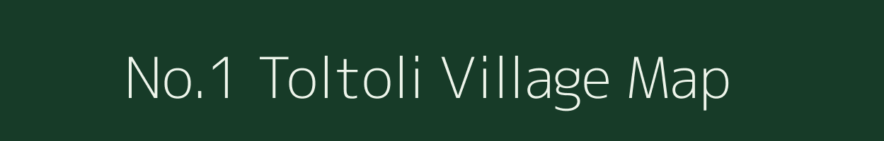 No.1 Toltoli village map in Assam