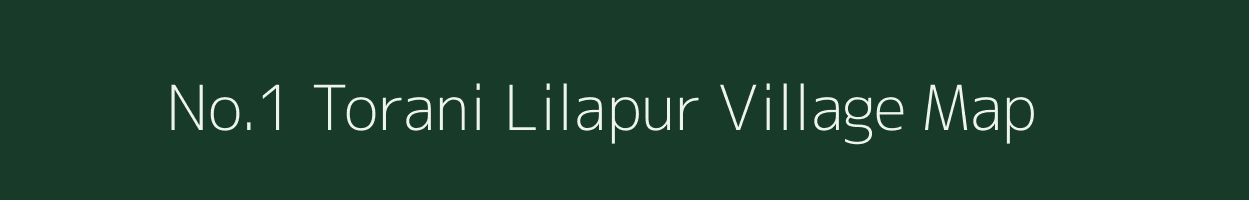 No.1 Torani Lilapur village map in Assam
