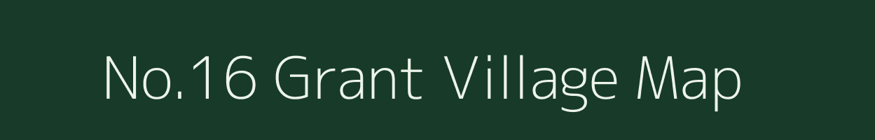 No.16 Grant village map in Assam