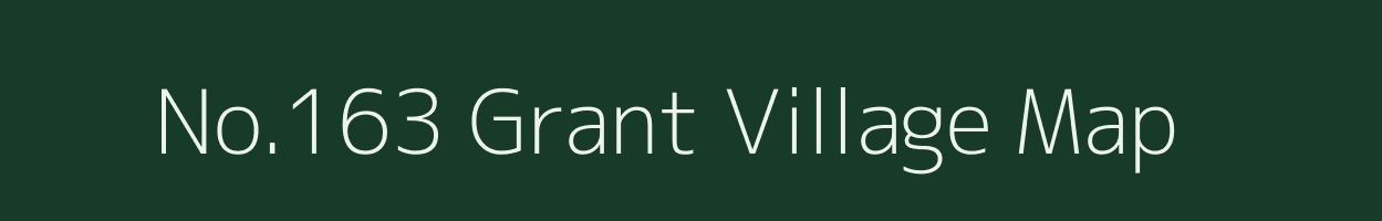 No.163 Grant village map in Assam