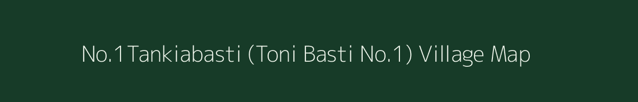 No.1Tankiabasti (Toni Basti No.1) village map in Assam