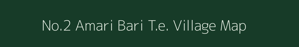 No.2 Amari Bari T.e. village map in Assam