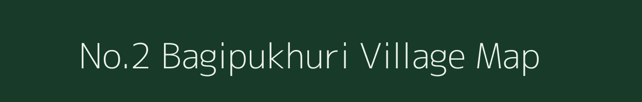 No.2 Bagipukhuri village map in Assam