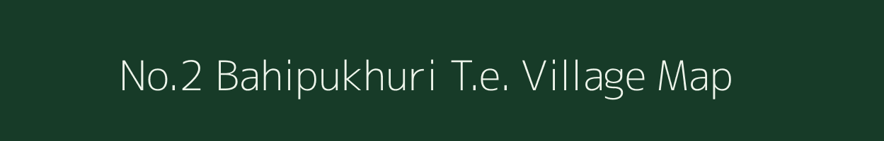 No.2 Bahipukhuri T.e. village map in Assam