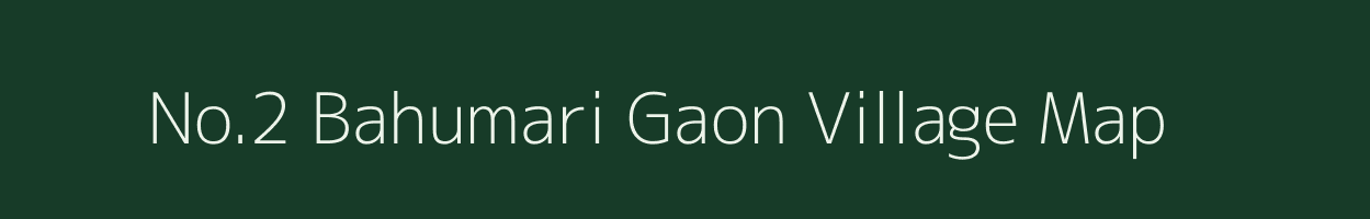 No.2 Bahumari Gaon village map in Assam